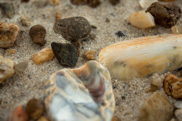 Tiny world of the items that make the beach