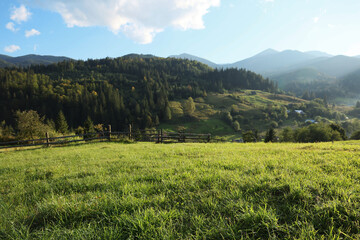 Obraz premium Beautiful landscape with green pasture on mountain hill in morning