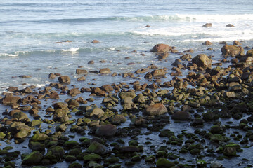 rough wild nord coast of sao miguel