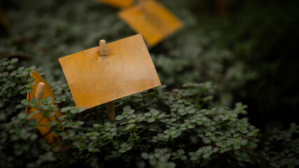 sign on the plant in the flower shop, macrophoto