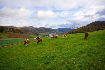 Fototapeta na wymiar landscape in the mountains in Switzerland