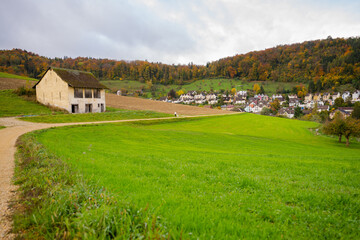 Fototapeta na wymiar landscape in autumn in Switzerland