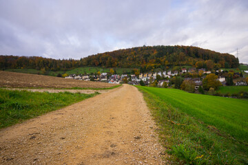 Fototapeta na wymiar country road in autumn in swiztzerland