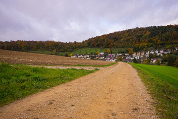 Fototapeta na wymiar country road in autumn in Switzerland