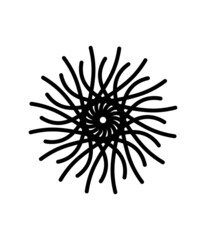 Obraz premium Vektor icon minimalist design elegant modern