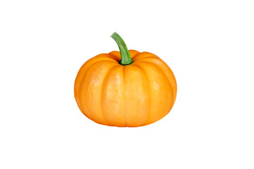 halloween pumpkin isolated on white background