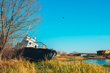 Naklejka premium river bank on an autumn day