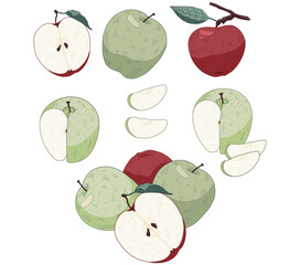 Hand drawn vector apple set colored