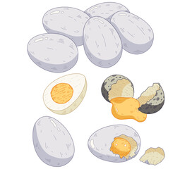 Hand drawn vector eggs set colored