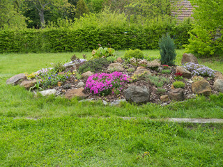 View on spring garden with beautiful rock garden in full bloom with pink Phlox subulata, Armeria...