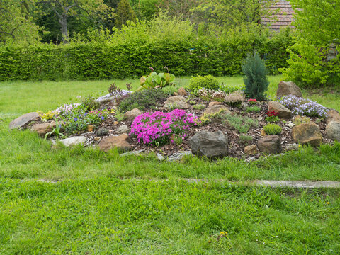 View on spring garden with beautiful rock garden in full bloom with pink Phlox subulata, Armeria maritima, sea thrift, Bergenia or elephants ears, carnation and many other colorful blooming flowers.