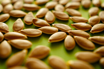 pumpkin cashew on green background