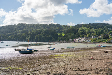 Fototapeta premium The vilage of Dittisham on the River Dart at very low tide, South Devon, South Hams, ENgland, United Kingdom