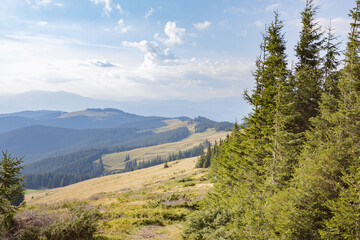 vacation in the mountains. wide panorama with mountain landscape of peaks. large mountain meadow.