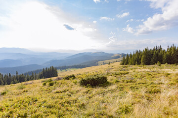 vacation in the mountains. wide panorama with mountain landscape of peaks. large mountain meadow. © Nazar