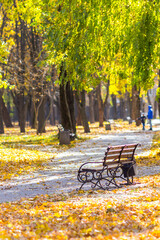 bench in autumn park