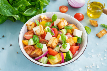 Panzanella salad, Italian bread and fresh vegetable salad. Copy space.