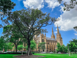 Obraz premium Saint Mary’s cathedral Church religious place of worship Sydney NSW Australia Saint Marys Cathedral Sydney