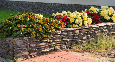 design elements of the green zone in the garden