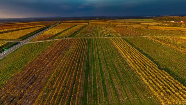vinejards in front of Herrnsheim Germany skyturn