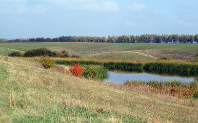 A small lake in a hollow among the fields, in early autumn.