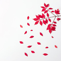 Autumn kisses and falling leaves idea. Red leaves on white background. Fall concept. Nature flat lay composition.