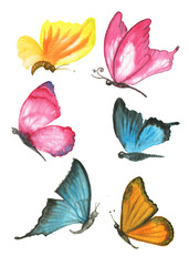 Fototapeta na wymiar Watercolor set of colored butterflies. Perfect for stickers,stickers,postcards,baby shower,crafts and hobbies.