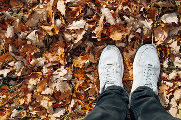 Top view legs in gray boots standing on fallen dry oak leaves outdoors, autumn background with copy space for text