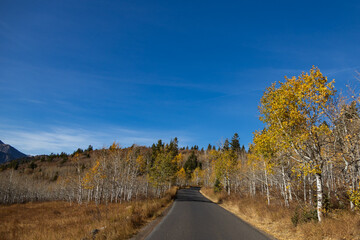 Alpine Loop Scenic Byway, Utah, USA