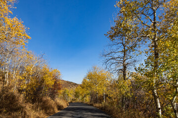 Alpine Loop Scenic Byway, Utah, USA