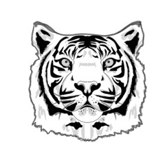 white tiger head