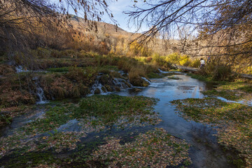 Cascade Springs, Utah, USA