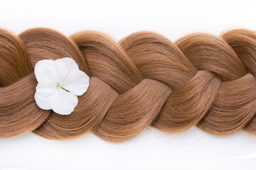 Brunette or brown hair. Female long dark hair in black. Beautifully laid curls. Closeup texture in...