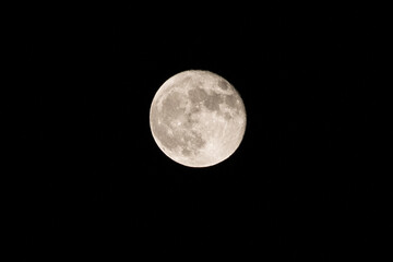 Obraz premium Full Moon in Autumn