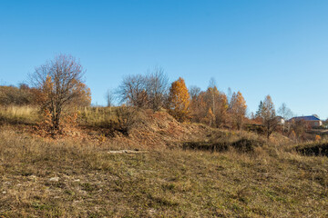 Autumn landscape, colorful forest view on a sunny day.