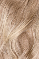 Background hair closeup. Female long blond hair close-up as a background. Beautifully laid wavy shiny curls. Hair coloring. Hairdressing procedures. Copy space with space for text.