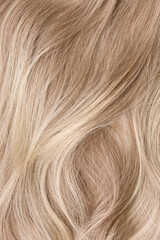 Fototapeta premium Background hair closeup. Female long blond hair close-up as a background. Beautifully laid wavy shiny curls. Hair coloring. Hairdressing procedures. Copy space with space for text.