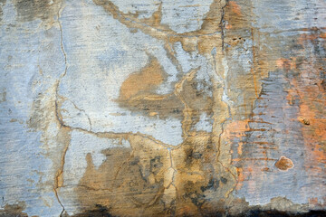 old wall background