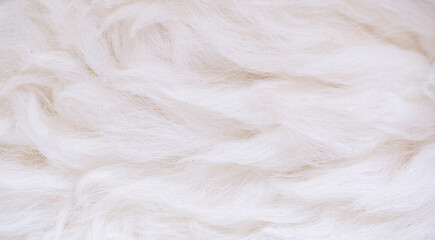 White animal fur. Weasel or cat hair. Fur clothes, white fur coat close up. Eco-wool, eco-leather artificial fur.