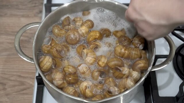 A man with a spoon mixes empty shells from garden snails in a saucepan, which are cooked for cleaning in boiling water. The process of cooking a gourmet dish. French cuisine. Close-up. Top view. 4K.