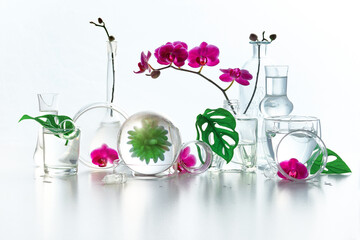 Reflections, floral elements distorted in water. Natural laboratory. Abstract floral arrangement...