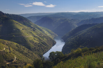 Viewpoint of the Ribeira Sacra from where you can see its vineyards and the river Sil.