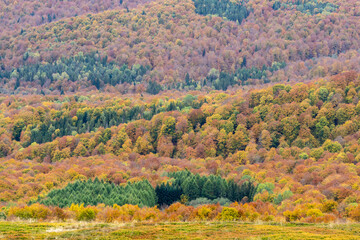Autumn in the Bieszczady Mountains.