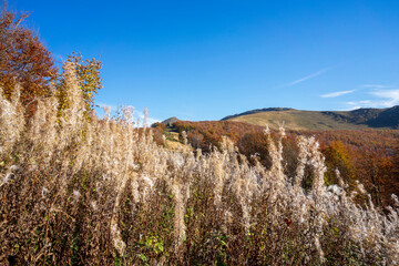 Autumn in the Bieszczady Mountains.