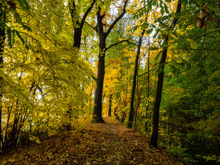 Obraz premium Herbst