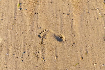 Fototapeta na wymiar Beach, footprint on the sand in Brittany 
