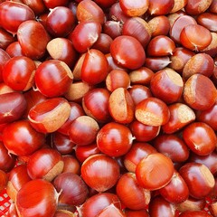 Korea chestnut for fall. 한국의 밤, 