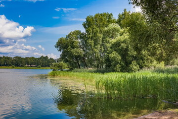 Obraz na płótnie Canvas Summer landscape with river, trees, shrubs and grass and sky with clouds
