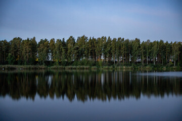 lake and trees