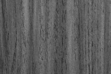 Obraz premium Texture photography with macro lens